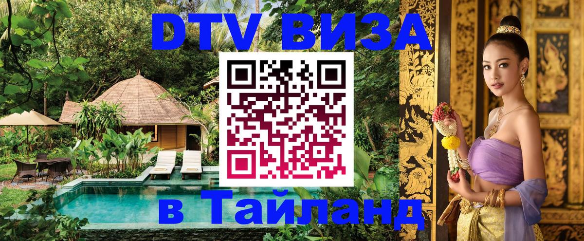 Сколько стоит DTV виза — актуальные цены, оформление даже без документов - Киров 